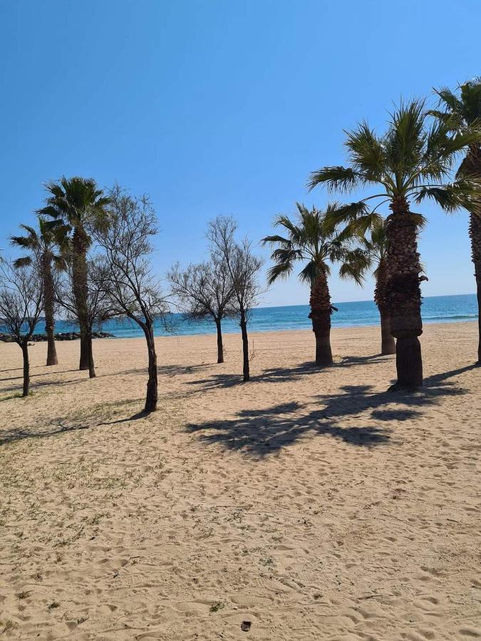 Mobil-Home 661 Camping Saint Aygulf Plage מראה חיצוני תמונה